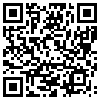 QR Code Handyversion