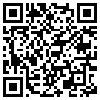 QR Code Handyversion