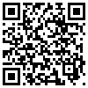 QR Code Handyversion