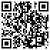 QR Code Handyversion