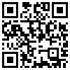 QR Code Handyversion