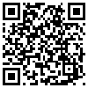 QR Code Handyversion