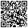 QR Code Handyversion