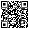 QR Code Handyversion