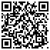 QR Code Handyversion