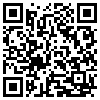 QR Code Handyversion