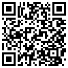 QR Code Handyversion