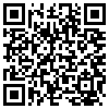 QR Code Handyversion