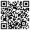 QR Code Handyversion