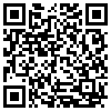 QR Code Handyversion