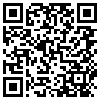 QR Code Handyversion