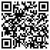 QR Code Handyversion