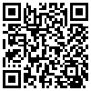 QR Code Handyversion