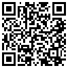 QR Code Handyversion