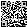 QR Code Handyversion