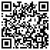 QR Code Handyversion