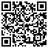 QR Code Handyversion