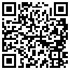 QR Code Handyversion