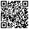 QR Code Handyversion