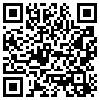 QR Code Handyversion