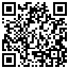 QR Code Handyversion