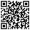 QR Code Handyversion