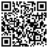 QR Code Handyversion