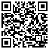 QR Code Handyversion