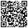 QR Code Handyversion