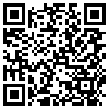 QR Code Handyversion