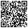 QR Code Handyversion