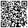 QR Code Handyversion