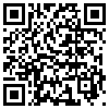 QR Code Handyversion