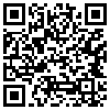 QR Code Handyversion