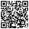 QR Code Handyversion