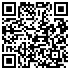 QR Code Handyversion