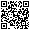 QR Code Handyversion