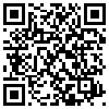 QR Code Handyversion