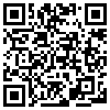 QR Code Handyversion