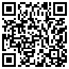 QR Code Handyversion