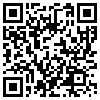 QR Code Handyversion
