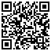 QR Code Handyversion