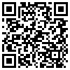 QR Code Handyversion