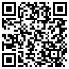 QR Code Handyversion