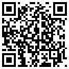 QR Code Handyversion