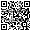 QR Code Handyversion