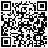 QR Code Handyversion