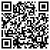 QR Code Handyversion