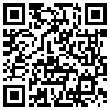 QR Code Handyversion