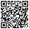 QR Code Handyversion